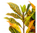 Umelá rastlina TROPICAL ZONE chameleón 877877 120 cm