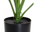 Umělá rostlina TROPICAL ZONE monstera v černém květináči 882024 75 cm