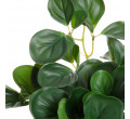 Umelá rastlina TROPICAL ZONE peperomia 882000 43 cm