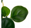 Umělá rostlina TROPICAL ZONE peperomia 882000 43 cm