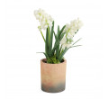 Umelá rastlina CONVALLIS konvalinky v kvetináči SS24 883656 30 cm