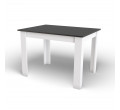 Jedálenský stôl NP čierno/biely
