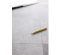 PVC podlaha Maxima Plus 57206