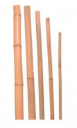 Bambus. tyč prírodná 10/12 105cm