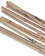 STREND PRO Tyč oporná bambusová 1200mm