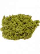 Moss plate Green/It brown 20 cm