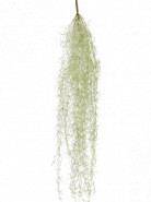 Tillandsia hair bush grey 95 cm