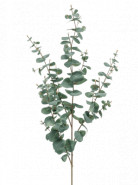 Eucalyptus Spray green/grey 115 cm