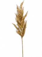 Grass pampas Beige 115 cm