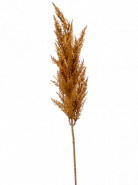 Grass pampas Branch orange 92 cm