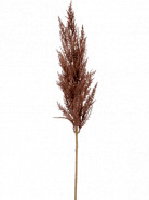 Grass pampas Branch brown 92 cm