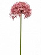 Allium Branch pink umelá rastlina