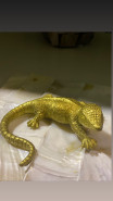Animal decoration Lizard (jašterica) gold 12 cm