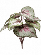 Begonia leaves bush grey-pink 25x25 cm