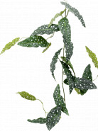 Umelá rastlina Begonia maculata branch 120 cm