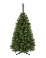 ROY Vianočný stromček borovica obyčajná, 120 cm