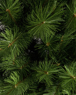 ROY Vianočný stromček borovica obyčajná, 120 cm