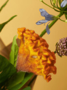 Umelý kvet Celosia žltá oranžová 62 cm