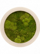 Moss painting Natural 30% ball, 70% plattmoss 40x5 cm (mach)