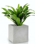 Kvetináč Etno sivý 16x13 cm