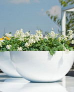 Kvetináč Fiberstone Dorant lesklá biela 53x24x21 cm