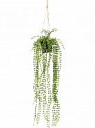Umelá rastlina Ficus pumila hanging 60 cm