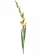 Umelý kvet Gladiol žltý 128 cm