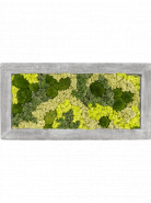 Moss painting grey 30% bobky, 70% lisajnikovy obraz beton 100x50x5 cm