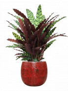 Kvetináč Marly Pot červený 30x28 cm