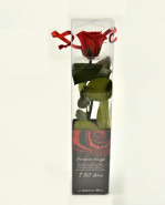 Dračeková ruža (stabilizovaná) červená 27  cm