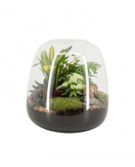 Aranžmán rastlín - rastlinné terárium (mini záhradka v skle) 23x30 cm