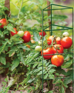 Podpera pre paradajky 84 cm zelená