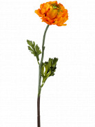 Umelý kvet Ranunculus oranžový 50 cm
