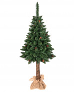 Vianočný stromček borovica klasická na kmeni so šiškami 150cm