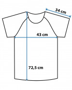 CXS Pánske funkčné tričko ACTIVE sivé S