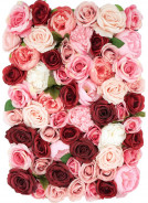 Plastová kvetinová stena Flowerwall ruže mix ružová červená 60x60 cm