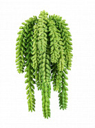 Umelá rastlina Sedum Morganianum Bush 27 cm