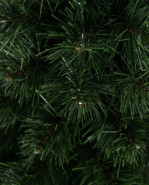 Vianočný stromček borovica Baltica 120cm