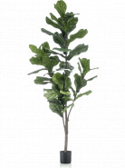 Umelá rastlina Ficus lyrata 150 cm