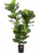 Umelá rastlina Ficus lyrata Tree 90 cm