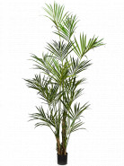 Umelá rastlina Kentia bush 260 cm