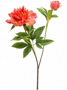 Umelý kvet Peony Sarah coral 73 cm