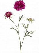 Umelý kvet Scabiosa Purple 77 cm