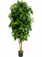 Umelá rastlina Schefflera 172  cm