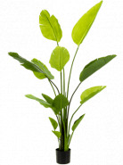 Umelá rastlina Strelitzia Nicolai 150cm