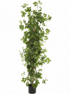 Umelá rastlina Cissus Column stĺp 100 cm