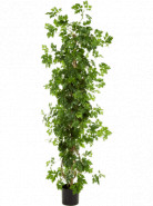 Umelá rastlina Cissus Column stĺp 160 cm