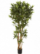 Umelá rastlina Croton goldfinger reflexa 150 cm