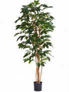 Umelá rastlina Kávovník Coffea arabica 120 cm