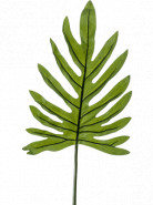 Umelý list Philodendron Leaf 100 cm